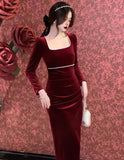 Aimays-Roses River Gothic Vampire Witchy Velvet Dress